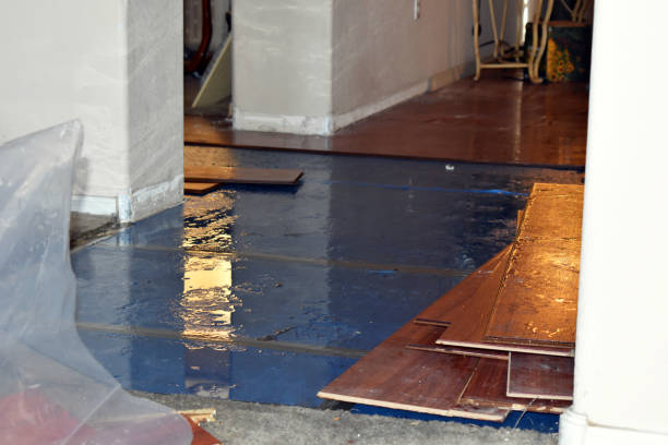 Professional Flood Cleanup technician working in East Orleans, MA